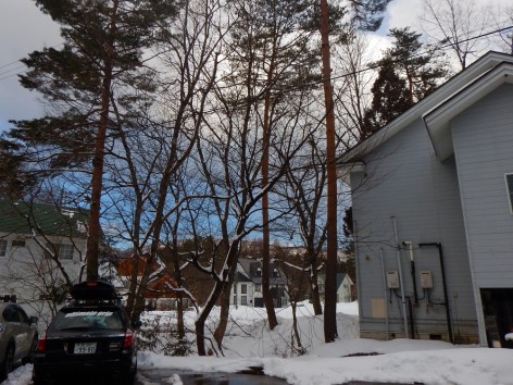 2016-03-02 16.12.11a