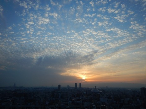 DSCN6041a