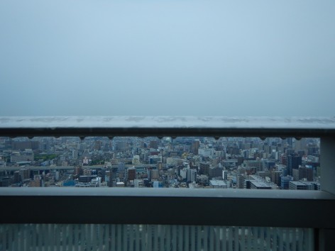 DSCN6061a