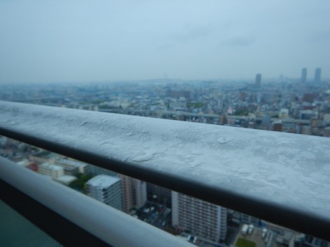 DSCN6108a