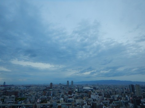 DSCN6395a