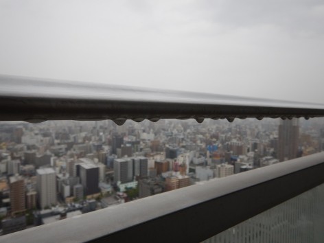 DSCN6498qa