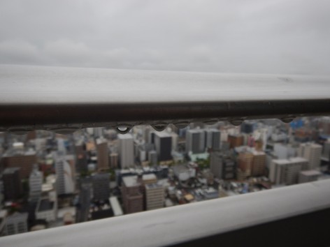 DSCN6529a
