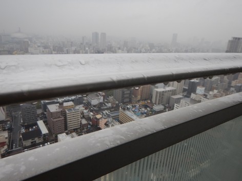 DSCN6554a