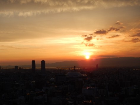 DSCN6607a