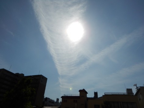 DSCN6613a