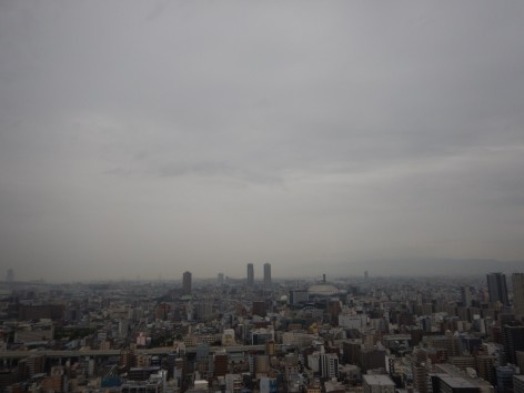 DSCN6951a