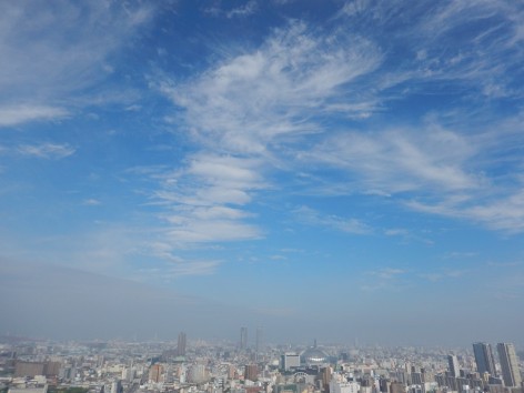 DSCN7078a