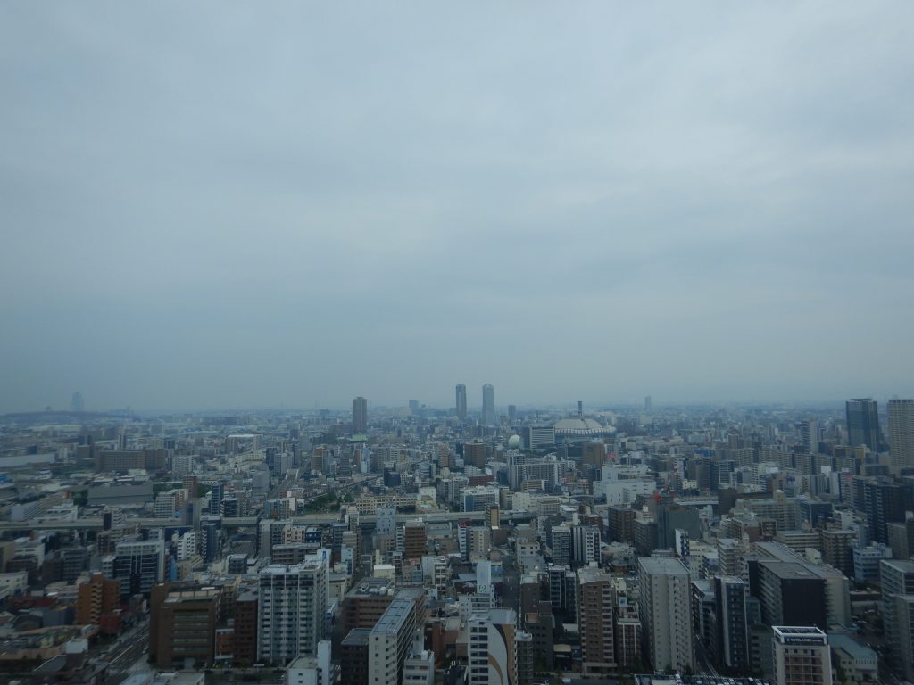画像に alt 属性が指定されていません。ファイル名: DSCN6366-1024x768.jpg